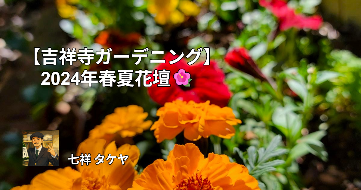 【吉祥寺ガーデニング】2024年春夏花壇🌺